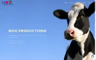 Moo-productions.com Screenshot 2024-06-18 01:30:47