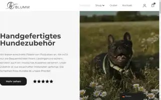 Blumm-shop.de Screenshot 2024-07-09 11:11:40