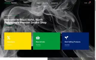 Brazilnoho.com Screenshot 2024-05-20 20:09:27