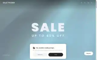 Soletradershoes.com Screenshot 2024-06-13 22:17:47