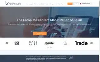 Brandreward.com Screenshot 2024-06-13 03:59:54