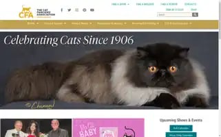 Cfa.org Screenshot 2024-06-15 07:16:39