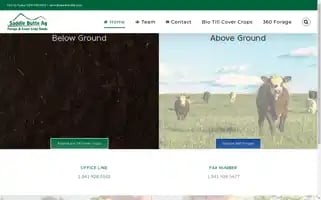 Saddlebutte.com Screenshot 2024-07-02 03:49:17