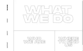 Salvaje.studio Screenshot 2024-06-26 21:24:06