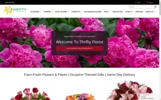 Thriftyflorist.net Screenshot 2024-05-14 12:11:13