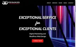 Webbadger.com Screenshot 2024-06-13 06:21:59