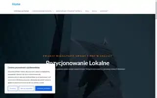 Pozycjonowanie-tanie.pl Screenshot 2024-05-27 20:16:32