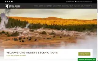 Brushbucktours.com Screenshot 2024-04-14 13:02:06