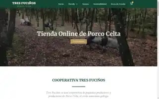 Tresfucinos.gal Screenshot 2024-06-28 13:57:15