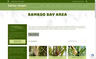 Bamboosfbayarea.com Screenshot 2024-07-01 07:47:53