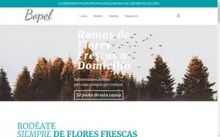 Bopel.es Screenshot 2024-05-20 17:18:45