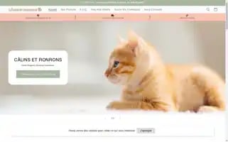 Calinsetronrons.com Screenshot 2024-05-03 18:48:04