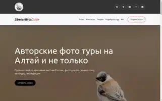Birdstravel.ru Screenshot 2024-04-25 05:29:33