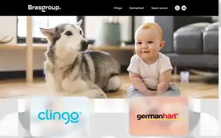 Brasgroup.com.br Screenshot 2024-06-26 12:00:50