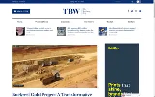 Thebusinesswiz.co.tz Screenshot 2024-05-23 21:24:47