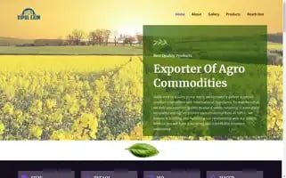Vipulexim.com Screenshot 2024-05-21 18:52:16