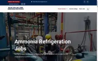 Dreamcareer101.com Screenshot 2024-06-13 07:55:55