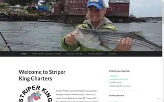 Striperking.com Screenshot 2024-04-19 09:30:10