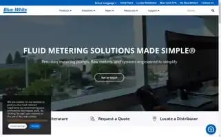 Blue-white.com Screenshot 2024-05-15 14:48:20