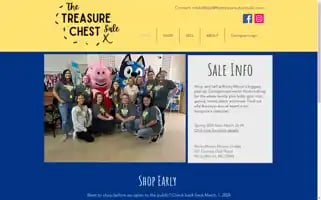 Thetreasurechestsale.com Screenshot 2024-05-14 11:28:20