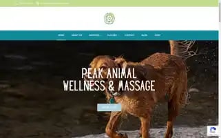 Boulderdogmassage.com Screenshot 2024-07-01 18:54:09