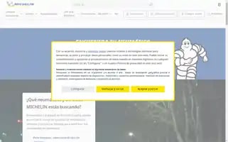 Michelin.es Screenshot 2024-07-10 02:38:39