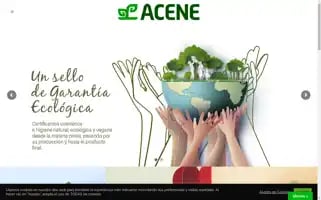 Acenecertificacion.com Screenshot 2024-06-26 03:04:13