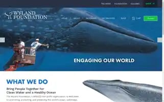 Wylandfoundation.org Screenshot 2024-07-01 23:56:59