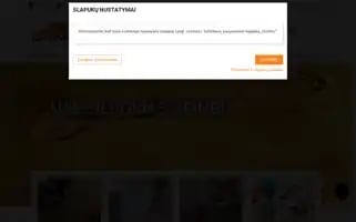 Gerosgrindys.lt Screenshot 2024-07-08 18:25:46