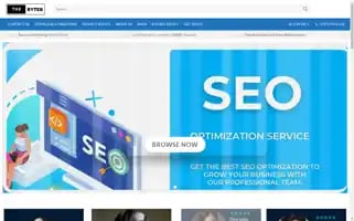Theryter.com Screenshot 2024-05-23 10:07:36