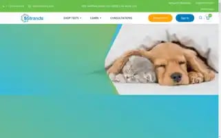 5strands.com Screenshot 2024-05-04 20:58:31