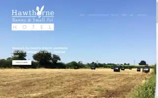 Bunnyhotel.co.uk Screenshot 2024-04-25 15:41:40