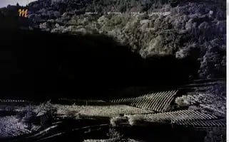 Domainemasson.com Screenshot 2024-05-21 12:35:15