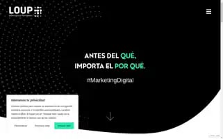 Loup.cl Screenshot 2024-07-05 02:18:59