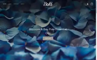 Blossomandbay.co.uk Screenshot 2024-05-18 19:45:18