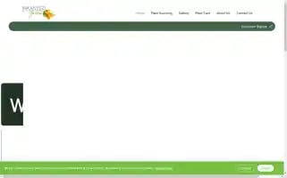 Inkanyezigreen.co.za Screenshot 2024-07-03 07:44:53