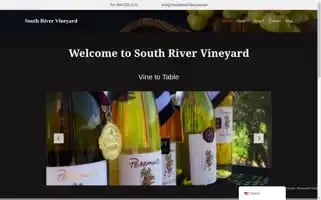 Southrivervineyard.net Screenshot 2024-05-21 23:38:25