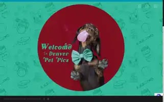 Denverpetpics.com Screenshot 2024-06-15 20:01:21