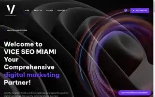 Viceseo.com Screenshot 2024-06-16 06:25:25