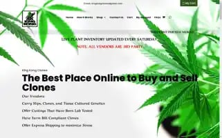 Kingkongclones.com Screenshot 2024-06-16 20:13:50
