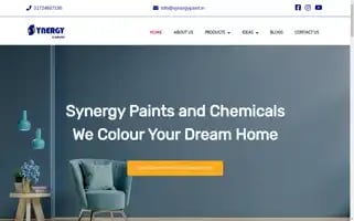 Synergypaint.in Screenshot 2024-06-26 08:23:41