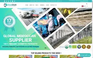 Zineglob.com Screenshot 2024-05-05 10:20:25