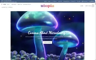 Hausofutopia.org Screenshot 2024-06-28 14:07:31