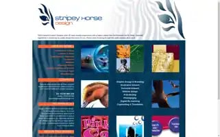Stripeyhorsedesign.com Screenshot 2024-04-17 12:43:32