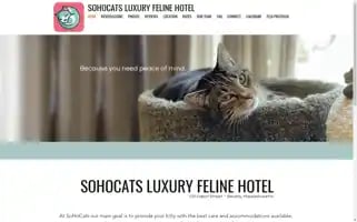 Sohocats.com Screenshot 2024-07-03 21:33:20