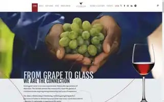 Vinimark.co.za Screenshot 2024-07-05 02:48:01