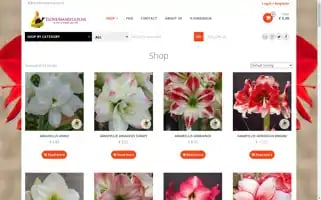 Iloveamaryllis.nl Screenshot 2024-05-19 02:49:20