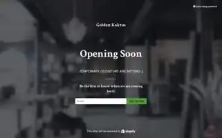 Goldenkaktus.com Screenshot 2024-04-18 08:00:01