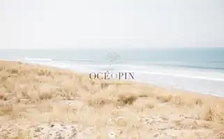 Oceopin.com Screenshot 2024-06-12 16:46:05