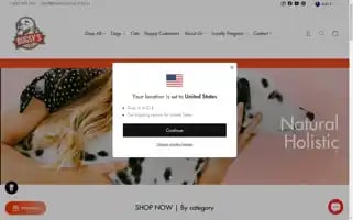Thebugsyshop.com Screenshot 2024-05-04 12:10:31